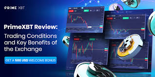 Exploring Live Trading PrimeXBT in Indonesia