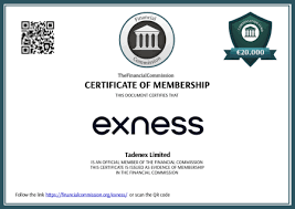 Comprehensive Exness Review ForexBrokerz Comprehensive Exness Review ForexBrokerz